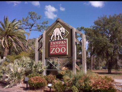 Bush Garden Park Nearby Apartments Tampa Exterior foto
